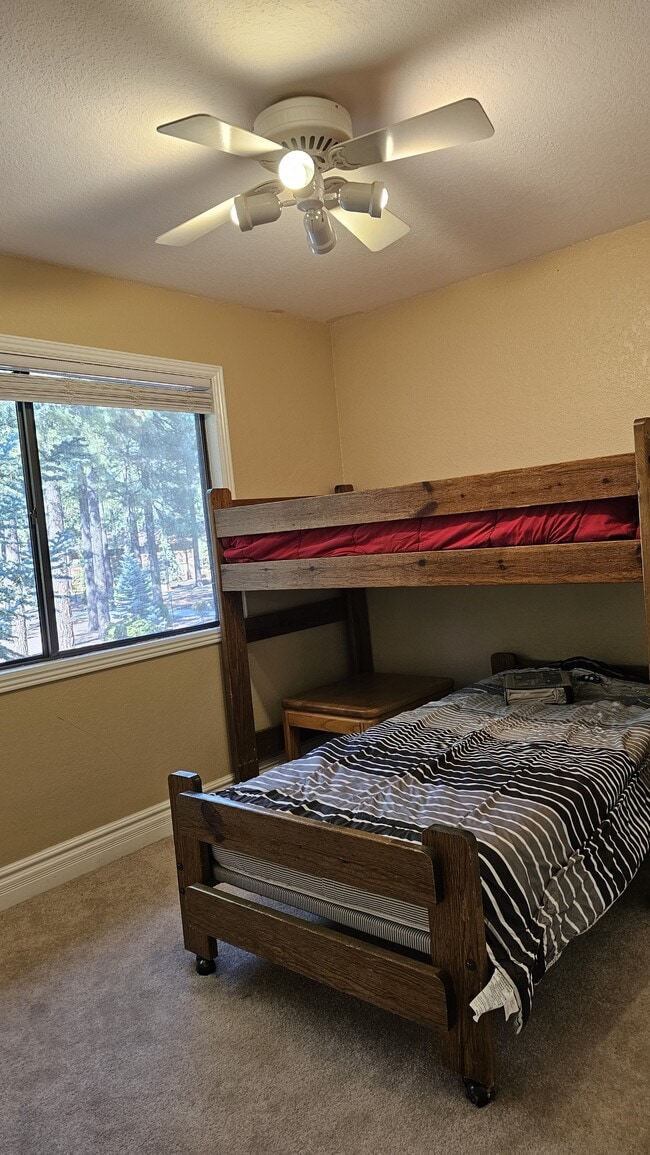 Building Photo - 2734 Snow Slope Way