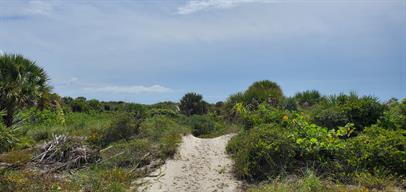 Building Photo - Charming beach house in beautiful New Smyrna Beach