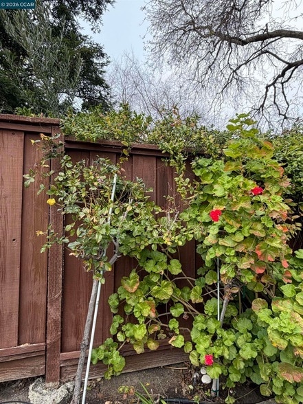 Building Photo - 350 Caroni St