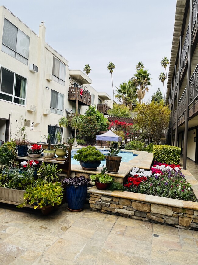 Lovely courtyard - 525 S Ardmore Ave