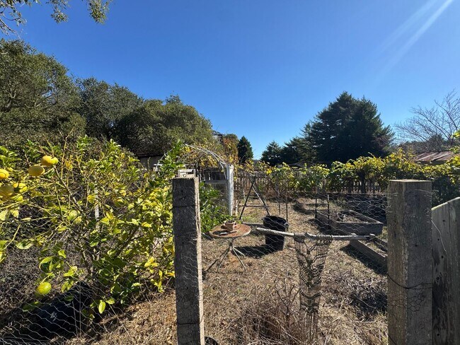 Building Photo - Country Living just minutes from Town