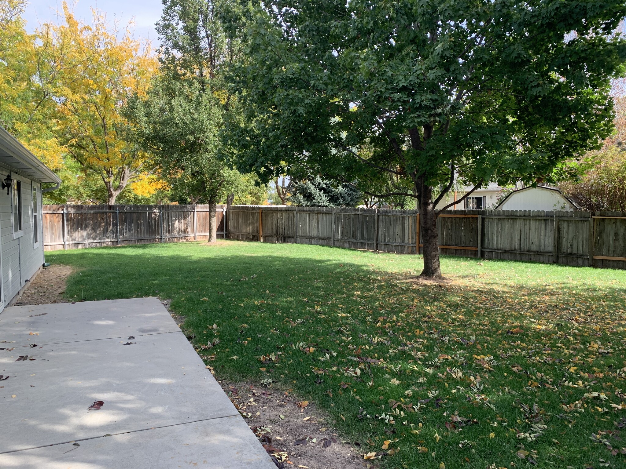 Huge backyard - 2521 E Apricot Dr