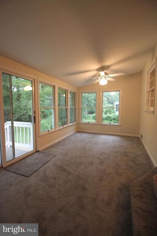 Building Photo - 907 Hillcrest Dr SW