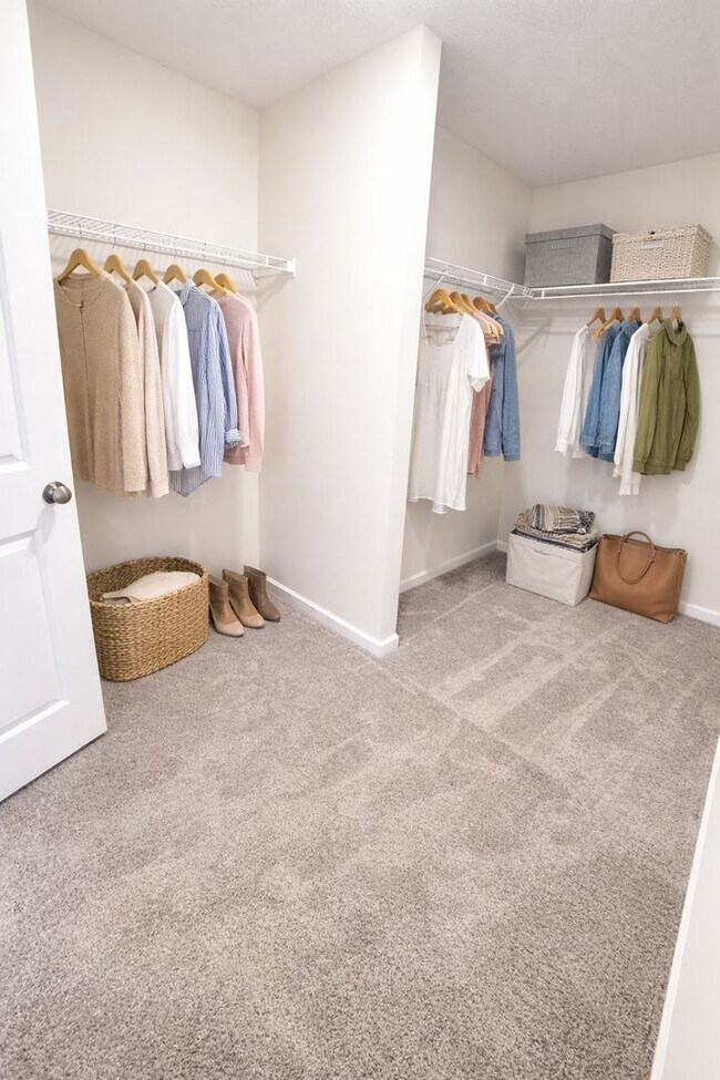 Building Photo - 5 Bedroom Home in Meadow Springs