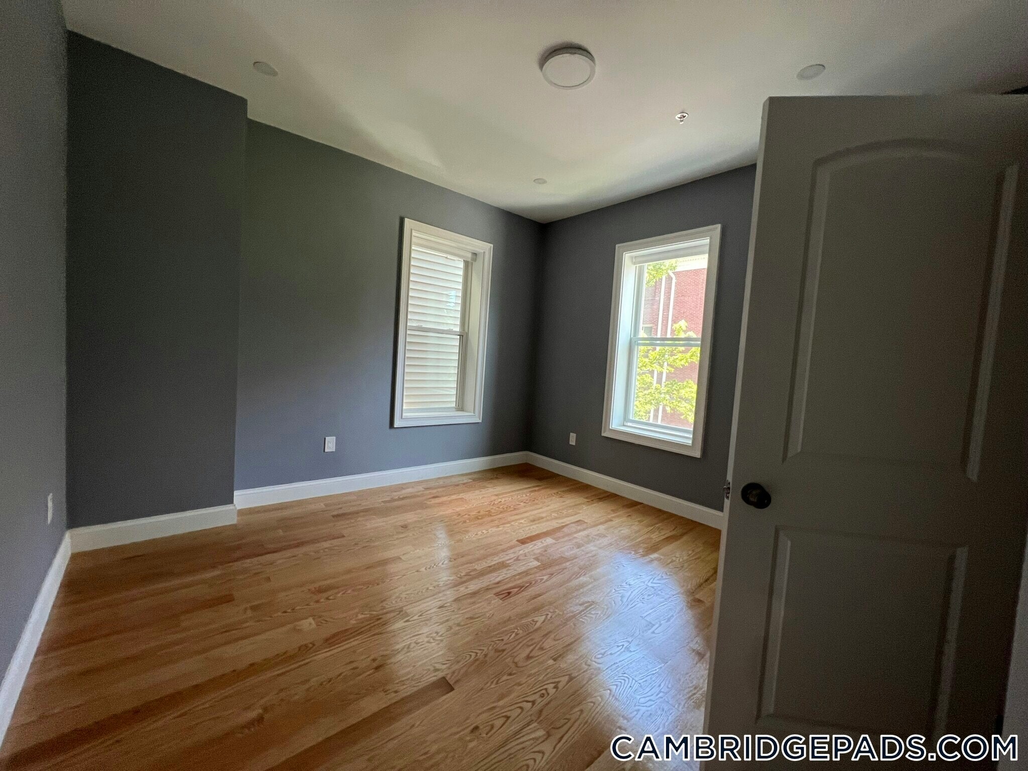 Building Photo - 339 Cambridge St