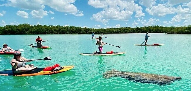 Building Photo - ** BONITA BAY ** BEAUTIFUL 2 PLUS A DEN FU...