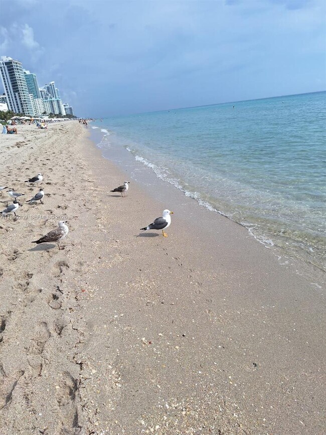 Building Photo - 2030 S Ocean Dr