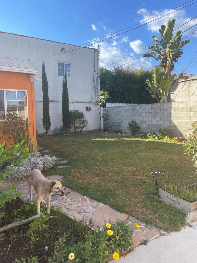 Back yard - 6619 Willoughby Ave