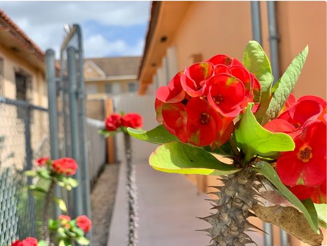 Building Photo - 6411 W 22nd Ct