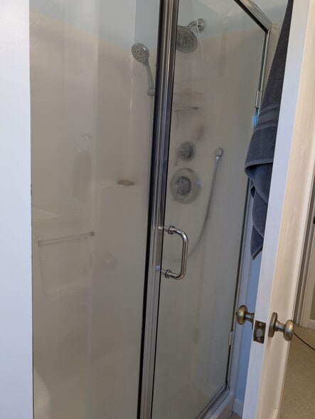 Master Bath shower with handheld - 16715 SE Evergreen Ln