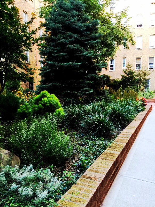 Building Photo - 4761 Broadway