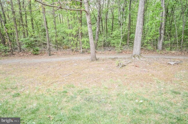 Building Photo - 6242 Levi Ct