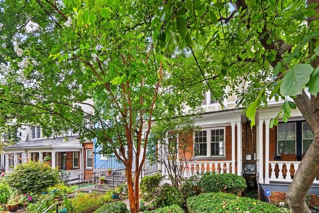Primary Photo - 3 Bed 2 Bath - Glover Park Row Home - Fini...