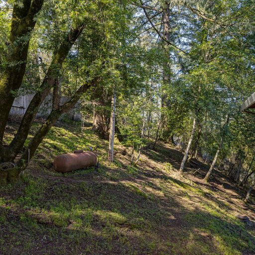 Building Photo - 25 Fir Ave