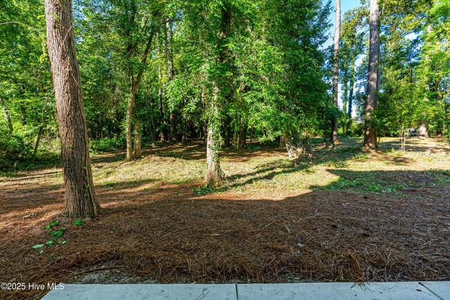 Building Photo - 1110 Tree Canopy Wy