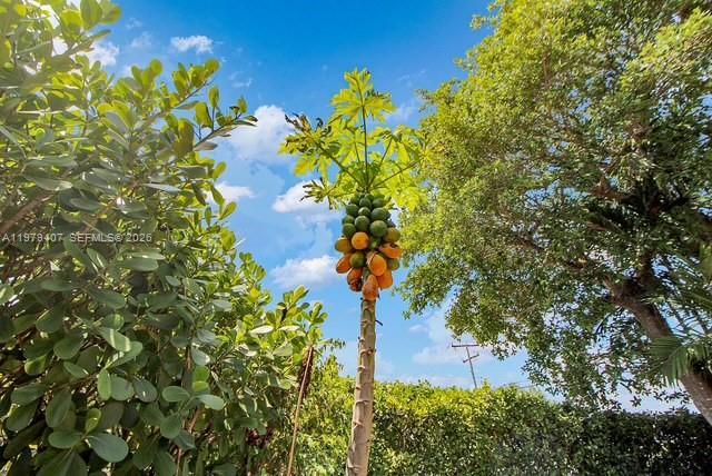 Building Photo - 7325 SW 98th Ct