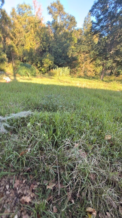 Building Photo - 5813 Tampico Rd