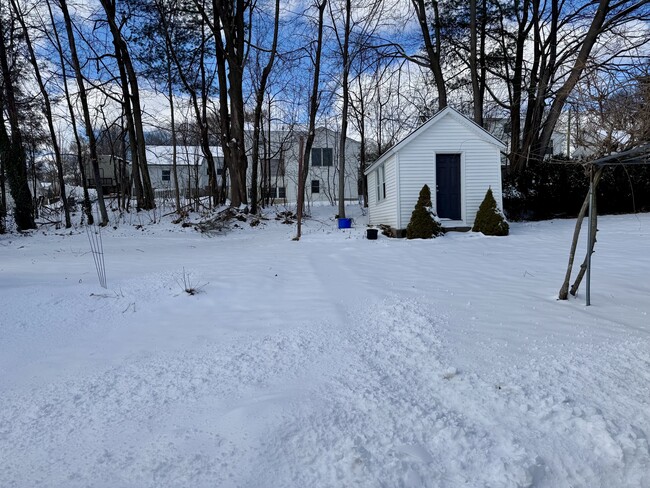 Spacious backyard - 32 Raynor St