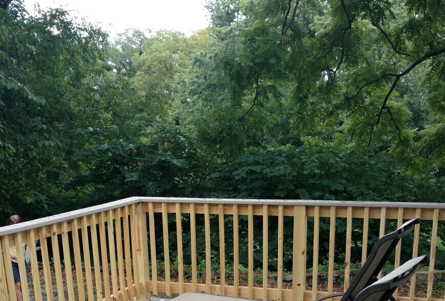 lovely and private deck overlooking city park - 705 Elsom St