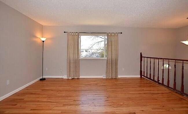 Building Photo - AVAILABLE AUGUST! Huge 4 bedroom/2 bath home with large fenced yard