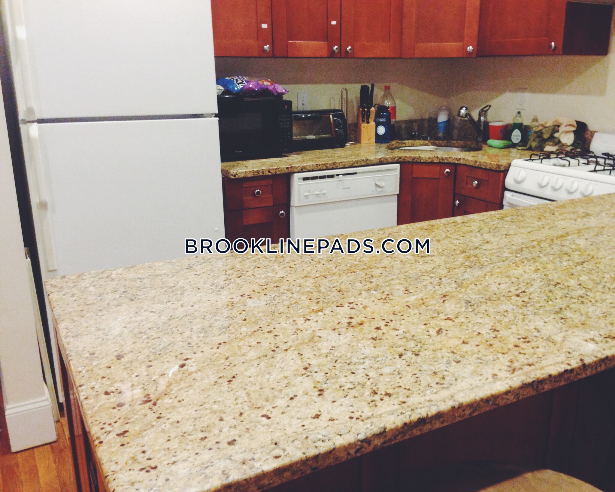 Building Photo - 62 Egmont St