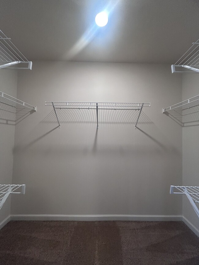 Primary walk-in closet - 146 Ofner Dr