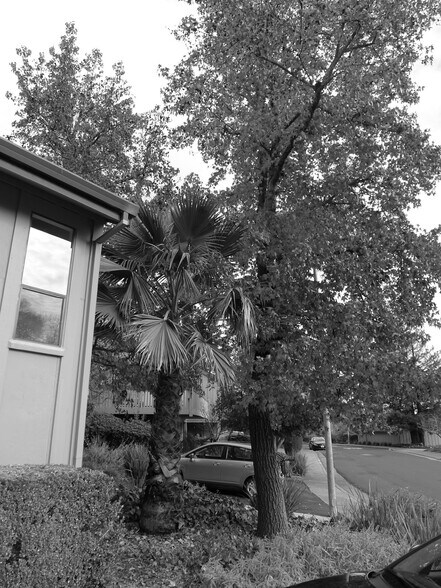 Building Photo - 2 Sheldrake Ct