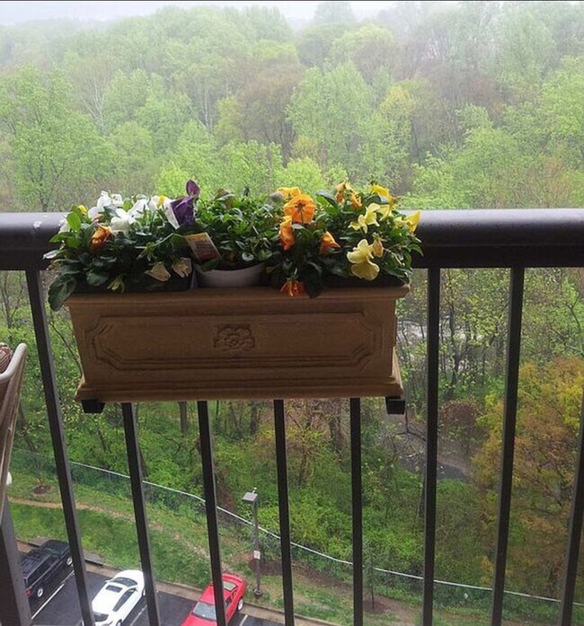 Building Photo - 3800 Powell Ln