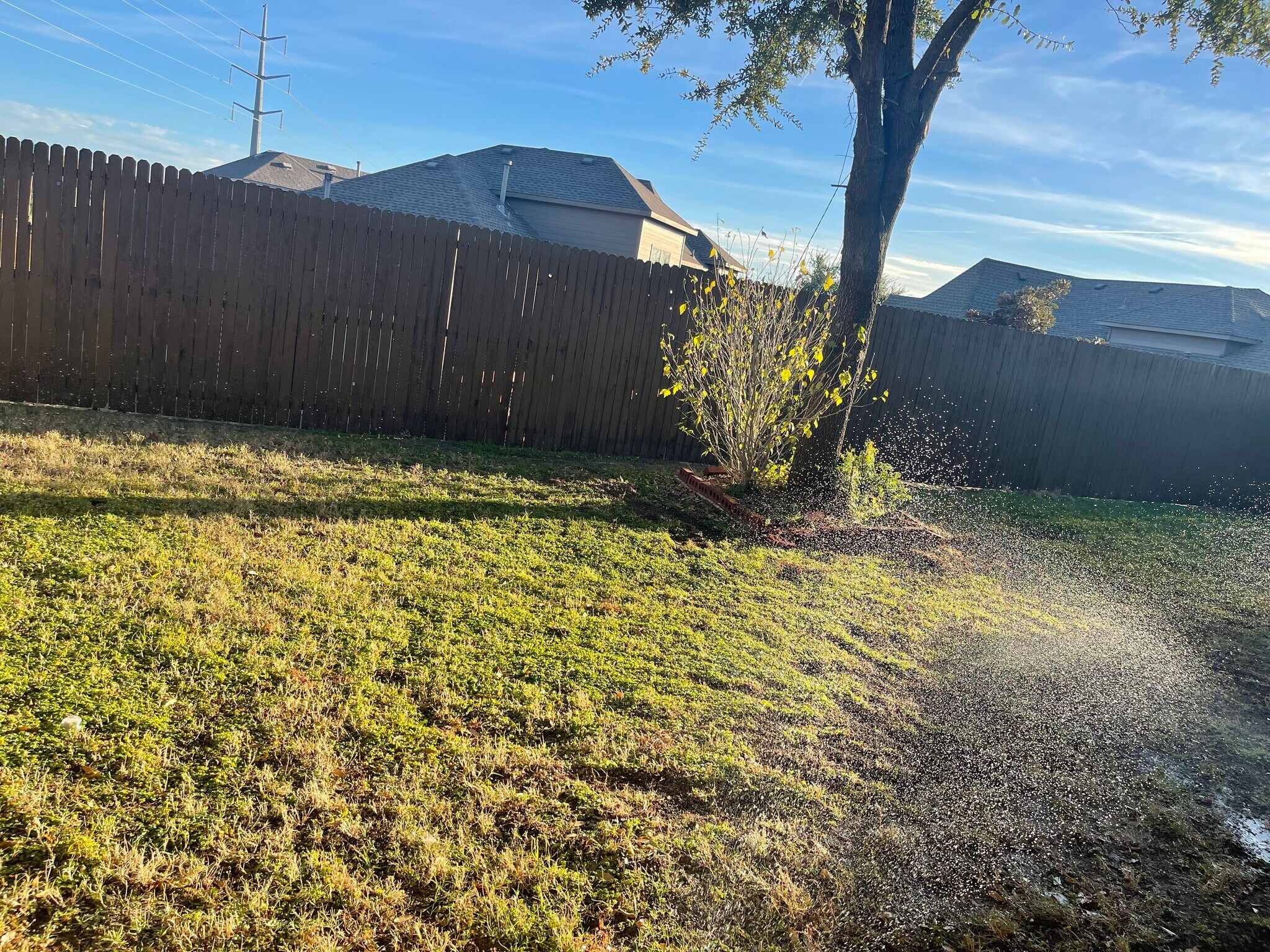 Backyard - 434 Needham Dr