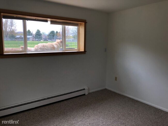 Building Photo - 3 br, 1 bath Apartment - 216B E Lincoln St