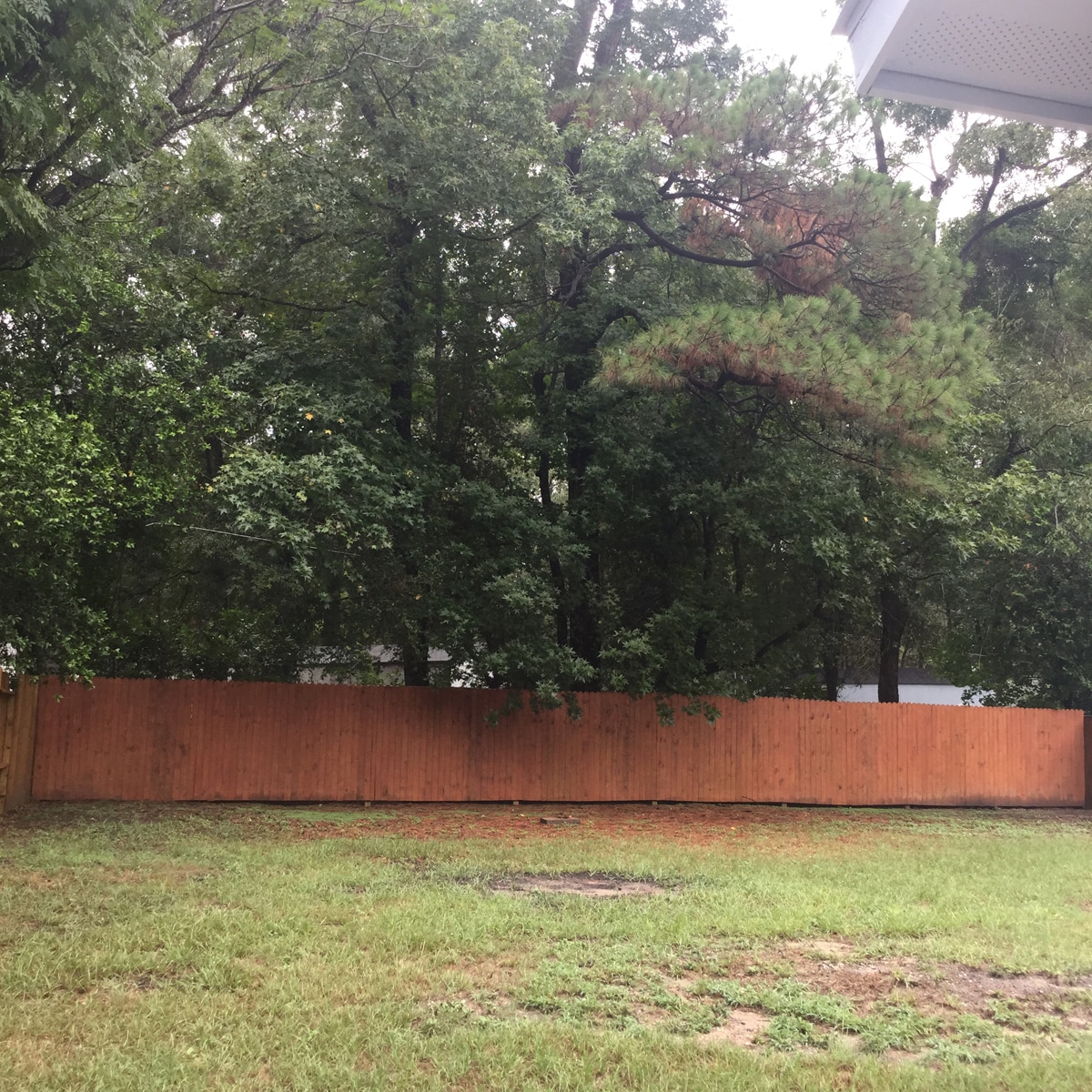 Spacious private backyard - 25745 Dulaney St