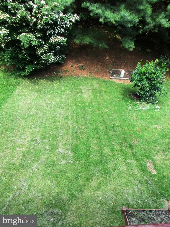 Building Photo - 3361 Cheverly Ct