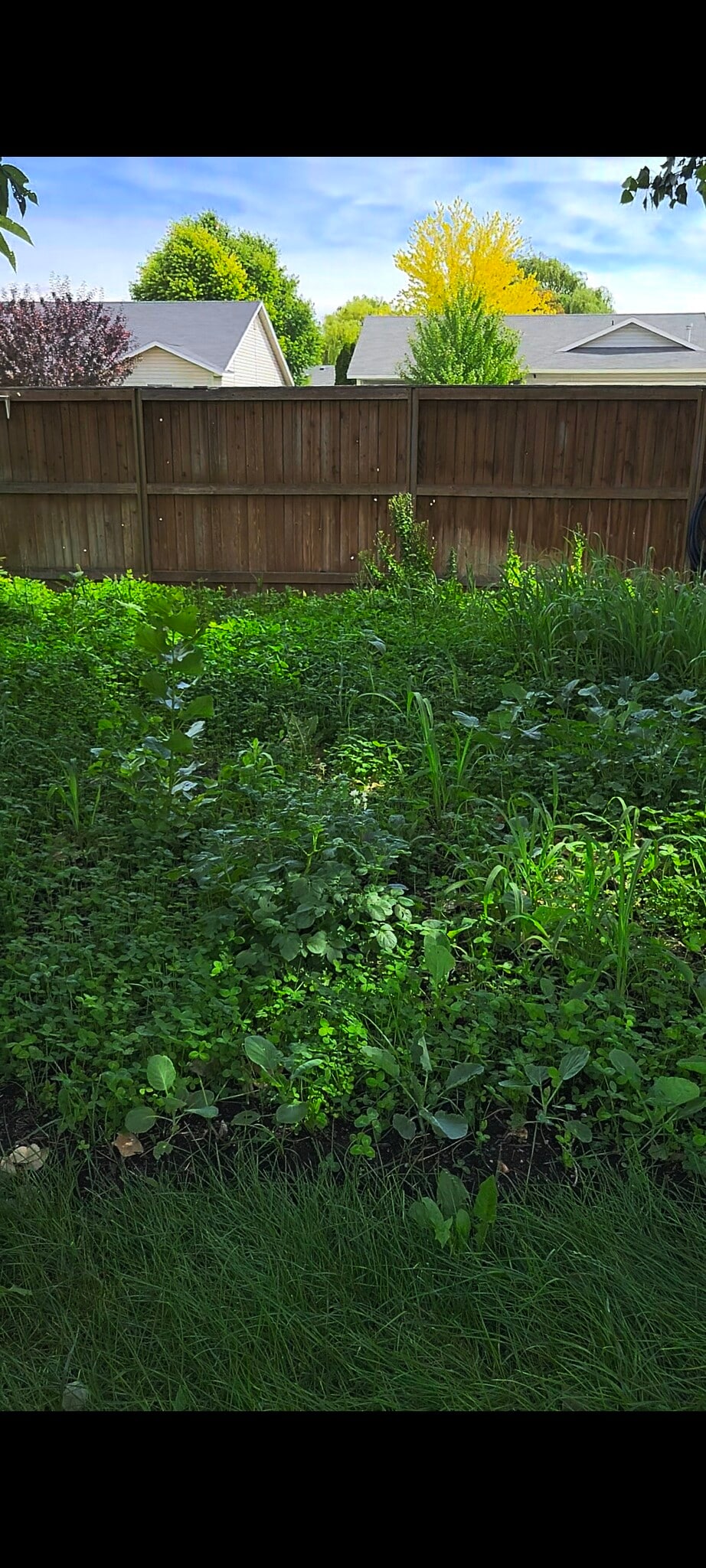 Building Photo - 11693 W Trinity Ave