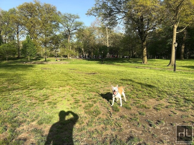 Building Photo - HIGHLAND BOULEVARD