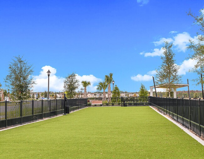 Paw park - Let your furry friends romp in the fenced green space of our paw park. - 2537 Arbor Wind