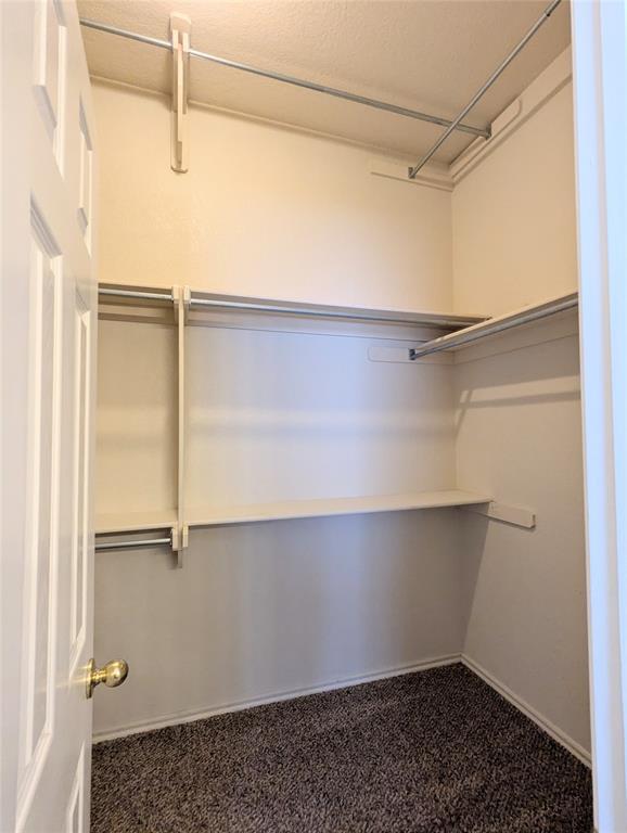 Building Photo - 2604 Southern Hills Dr