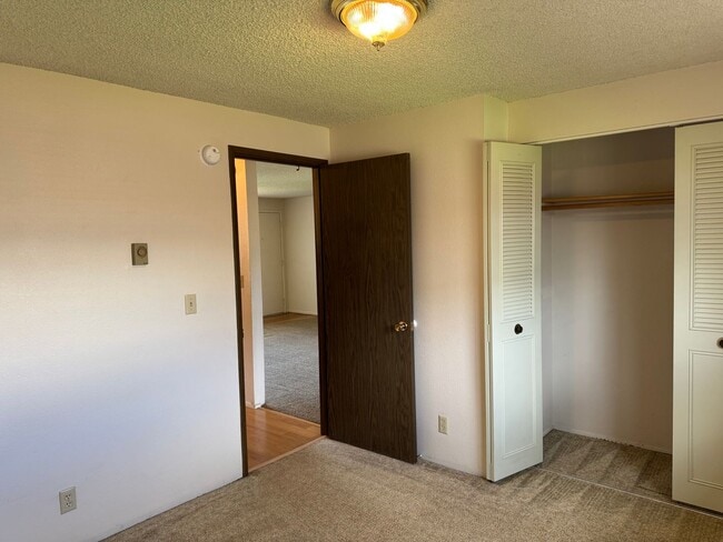 Building Photo - Great single level 2 bed/1 bath duplex in Thurston!