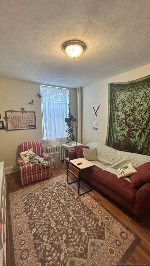 Building Photo - 223 Essex St