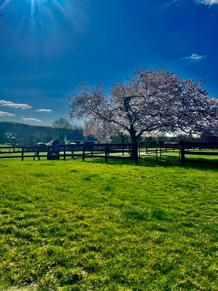 Bucolic delight! - 19810 Silcott Springs Rd