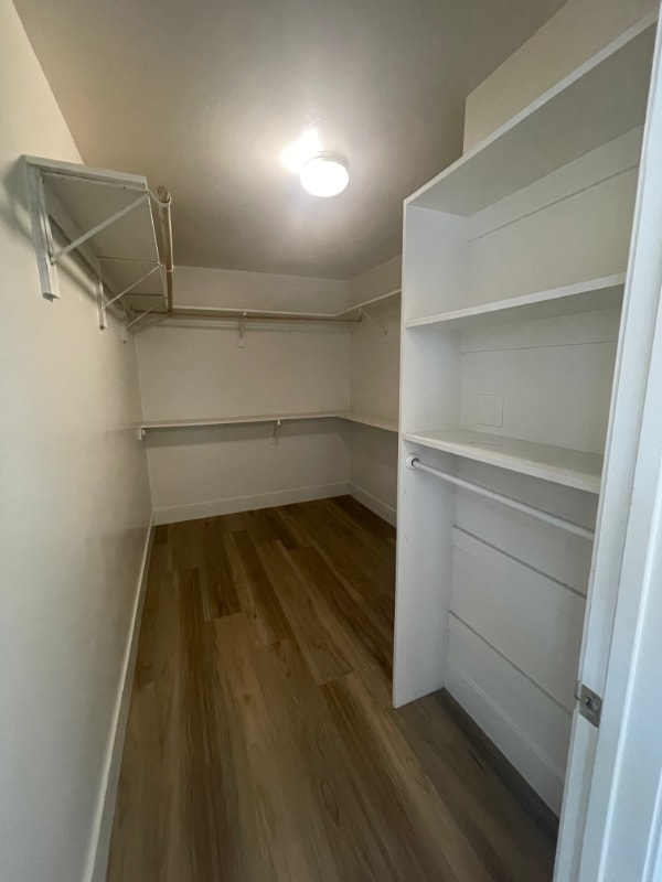 Building Photo - 3713 White Sands Dr