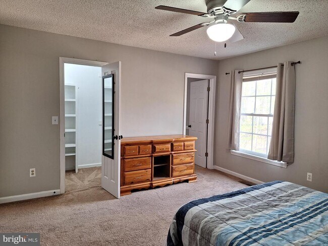 Building Photo - 12 Albano Ct