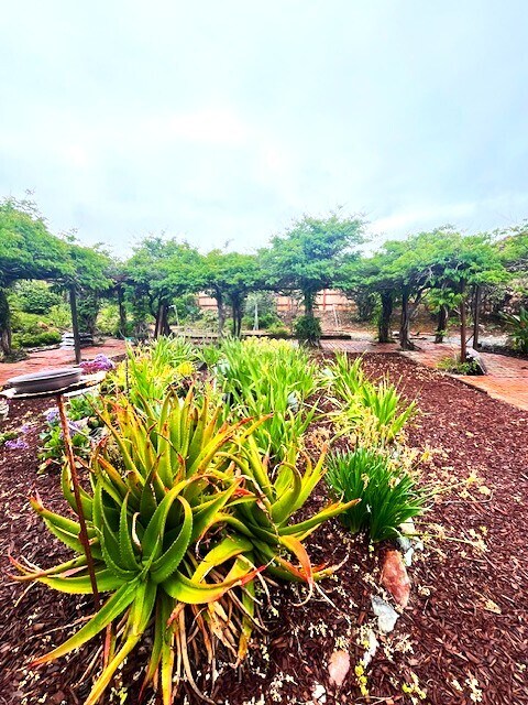 Building Photo - 16731 Callado Ct
