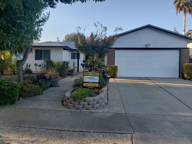Primary Photo - Branham/Pearl
