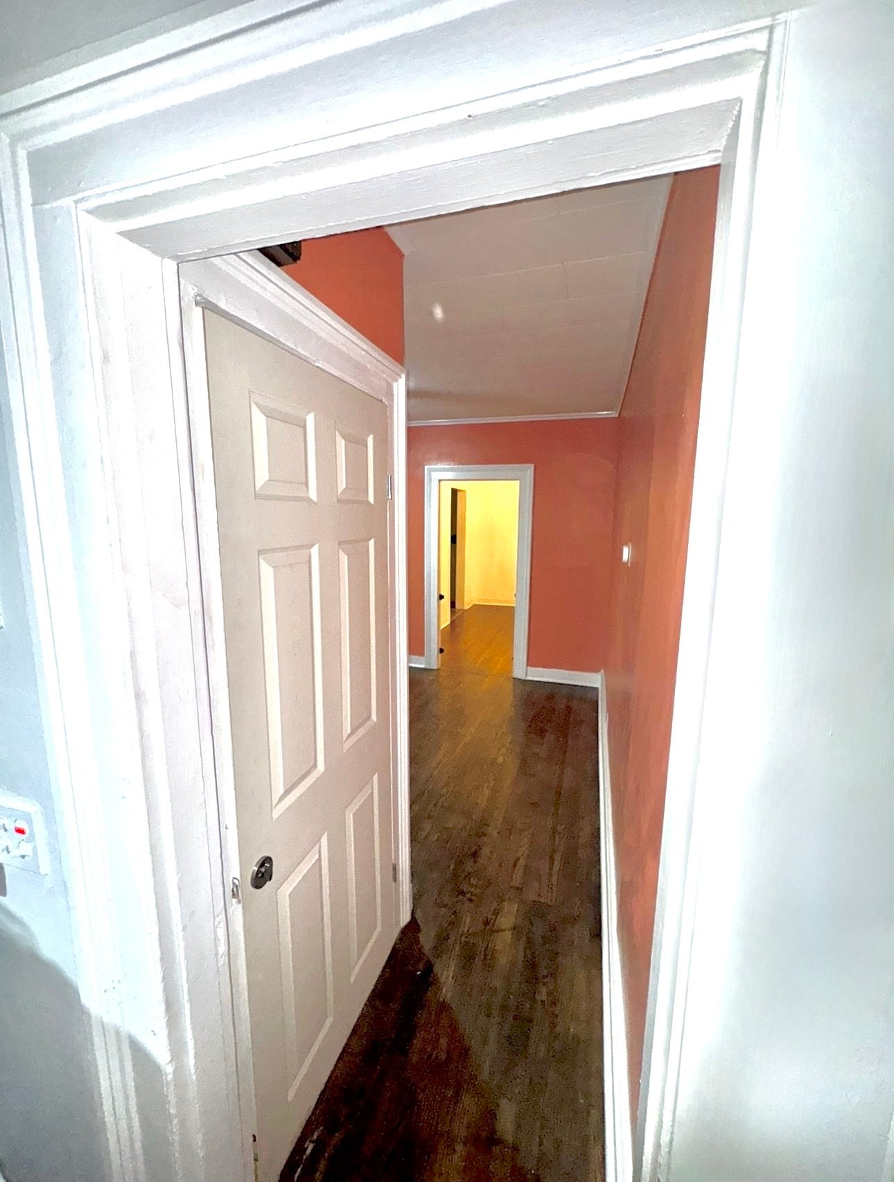 Basement door/hallway - 412 Pearl Lake Rd