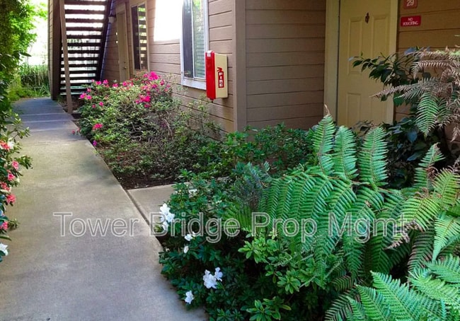Building Photo - 11150 Trinity River Dr