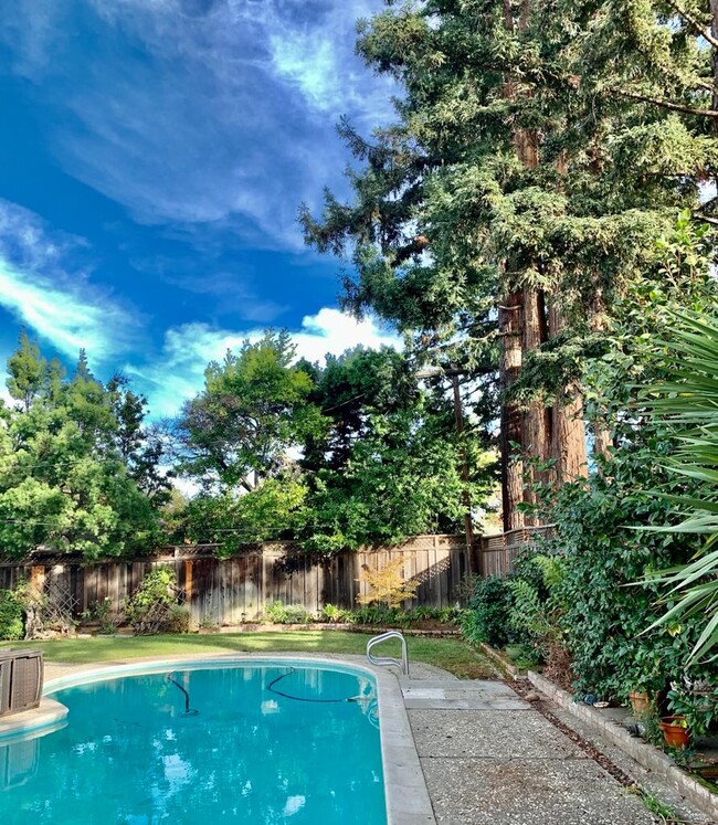 Pool - 19536 Eric Dr