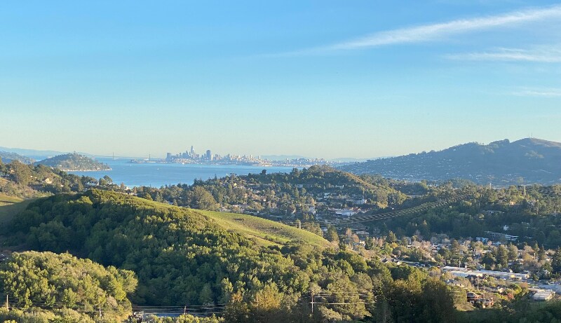 Building Photo - 331 Marin Ave