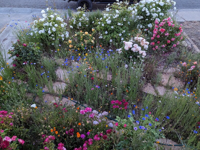 Building Photo - 138 Viewmont Ave