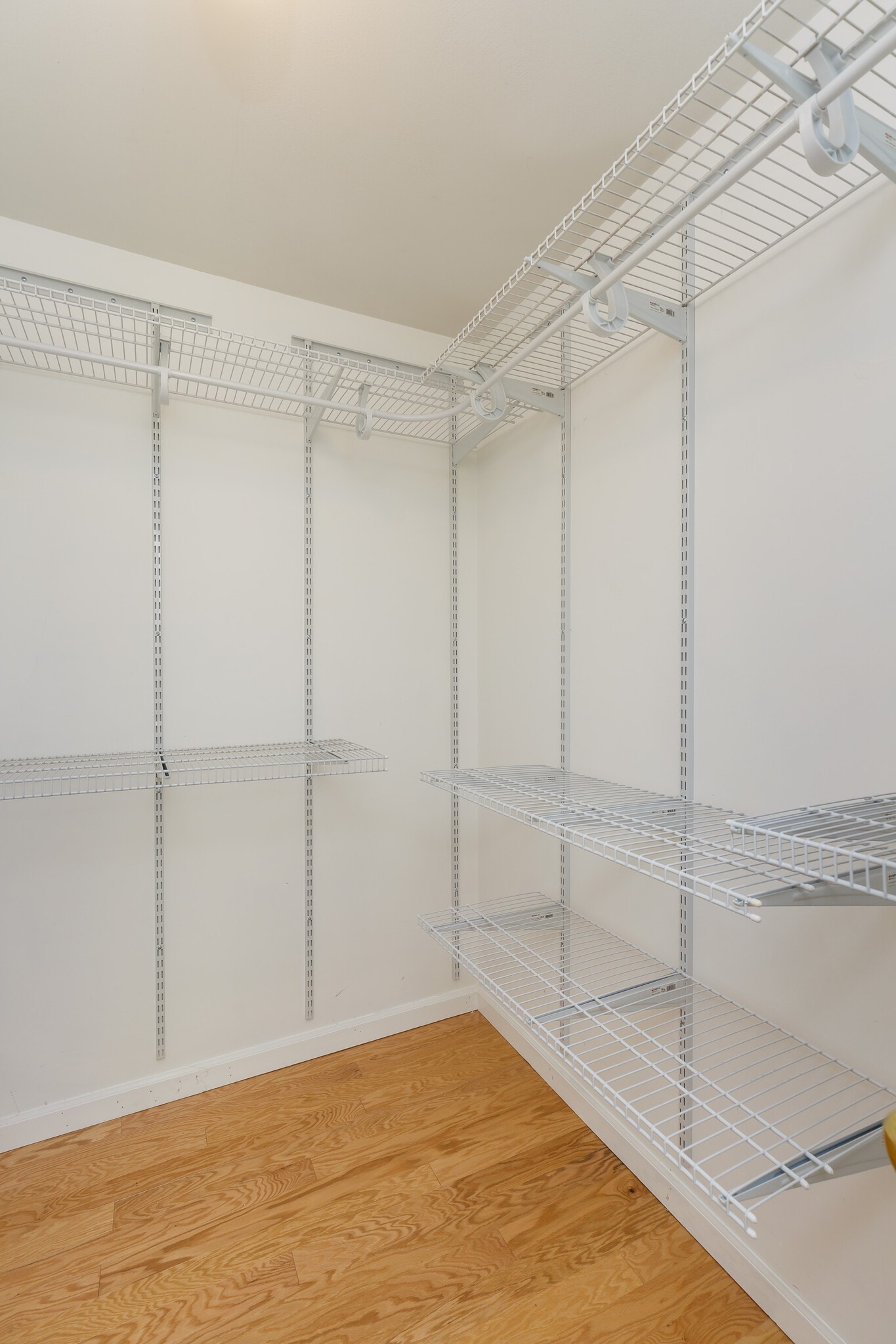 Building Photo - 5600 Waterman Blvd