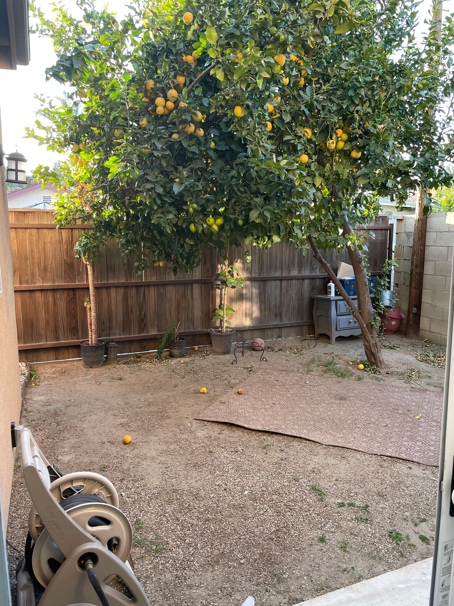 Backyard - 6227 Atoll Ave